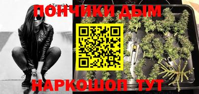 прущие грибы Балаково