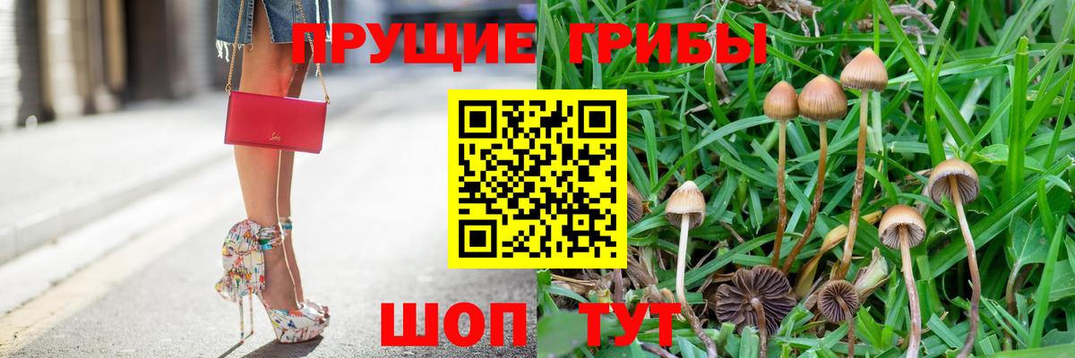 Галлюциногенные грибы Psilocybe  Псилоцибиновые грибы прущие грибы  Вход с VPN  Артём 
