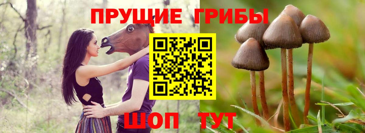 Псилоцибиновые грибы MAGIC MUSHROOMS Артём